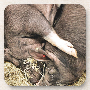 SNIJDEN BIER ONDERZETTER