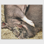 SNIJDEN CADEAUPAPIER (Vlak)