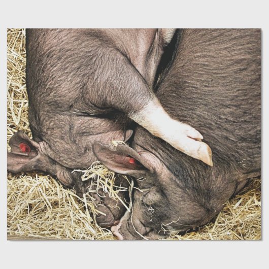 SNIJDEN CADEAUPAPIER (Vlak)