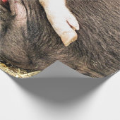 SNIJDEN CADEAUPAPIER (Hoek)