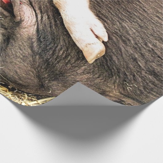 SNIJDEN CADEAUPAPIER (Hoek)