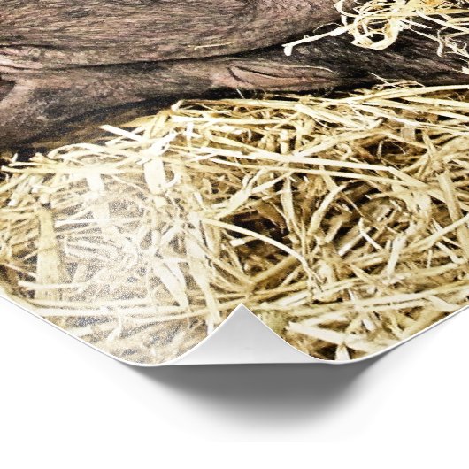 SNIJDEN FOTO AFDRUK (Hoek)