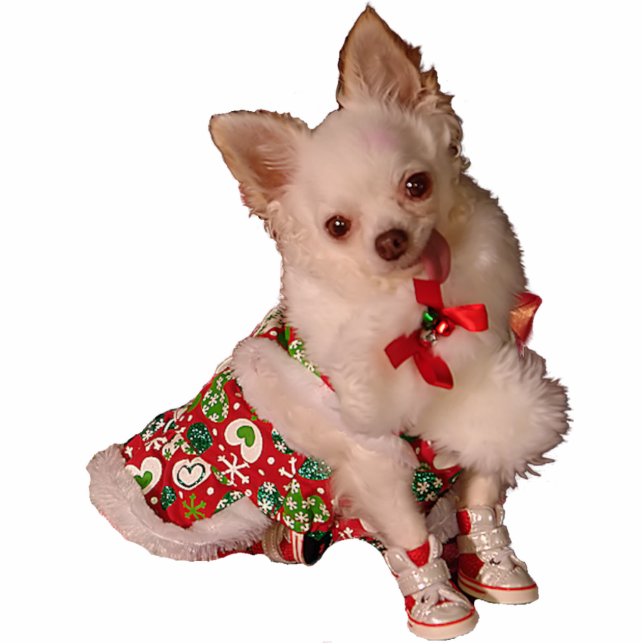 Snijden kerstversiering met Little Chihuahua Staand Fotobeeldje (Voorkant)