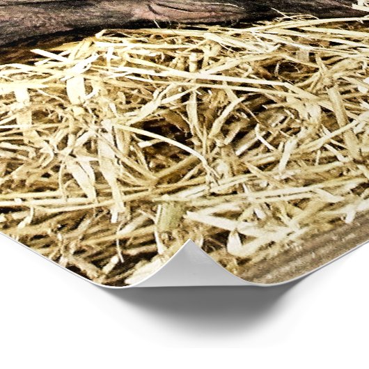 SNIJDEN POSTER (Hoek)