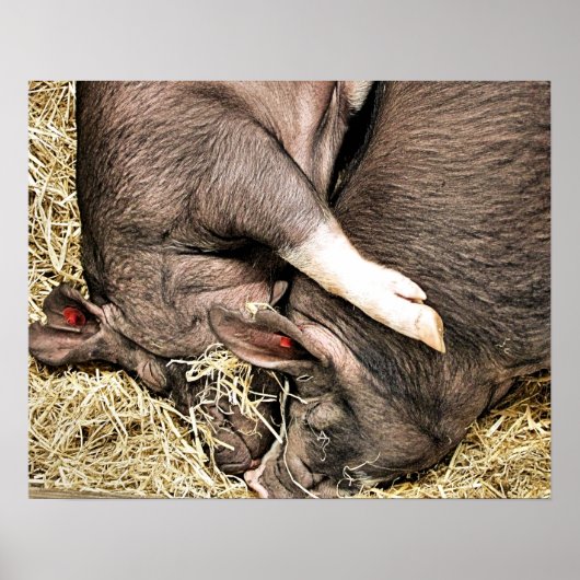 SNIJDEN POSTER (Voorkant)