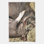 SNIJDEN THEEDOEK (Verticaal)