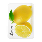 Snijder citroenen magneet (Verticaal)