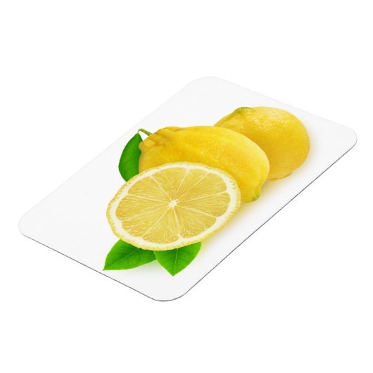 Snijder citroenen magneet (Linkerzijde)