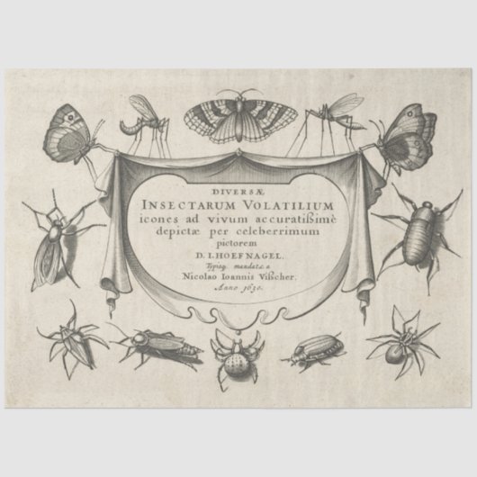  snijdocument voor ontkoppeling van weefsel tissuepapier (Voorkant)