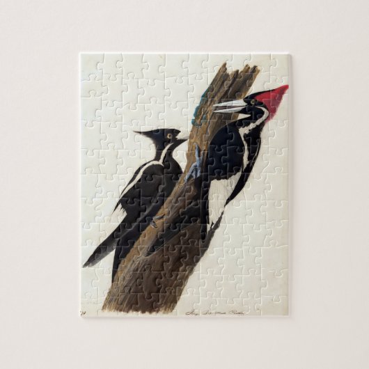 snijdsel van buikborst legpuzzel (Verticaal)