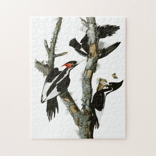  snijdsel van buikborst legpuzzel (Verticaal)