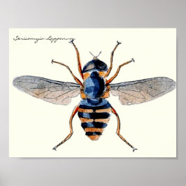  snijdt de wetenschappelijke entomologievloot in poster