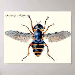 snijdt de wetenschappelijke entomologievloot in poster