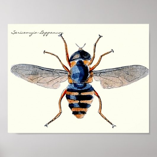 snijdt de wetenschappelijke entomologievloot in poster (Voorkant)