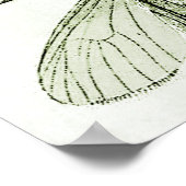  snijdt Moths Entomology Bugs Illustratie Poster (Hoek)