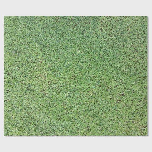 Snijgras Cadeaupapier (Vlak)