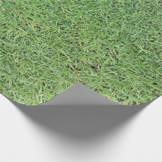 Snijgras Cadeaupapier (Hoek)