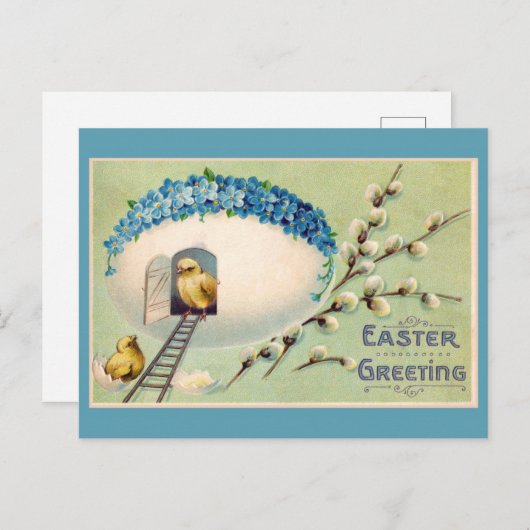 Snijkop  kippen Pasen Briefkaart (Voorkant / Achterkant)