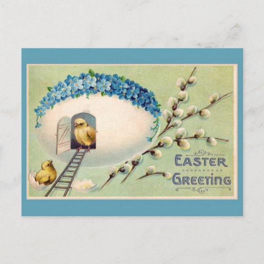 Snijkop kippen Pasen Briefkaart (Voorkant)