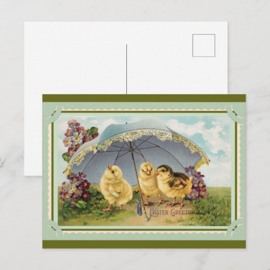 Snijkop  lentekuikens Pasen Briefkaart (Voorkant / Achterkant)