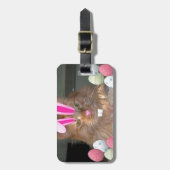 Snijkop Oranje tablet Bagagelabel (Voorkant verticaal)