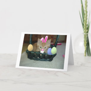 Snijkop Oranje tablet Feestdagen Kaart