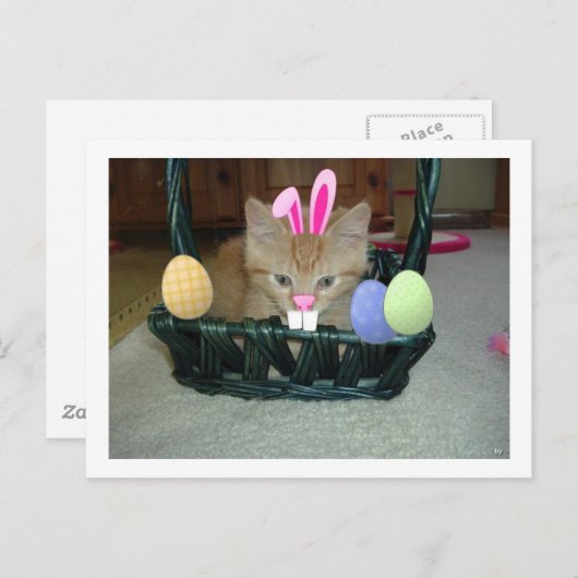 Snijkop Oranje tablet Feestdagenkaart (Voorkant / Achterkant)