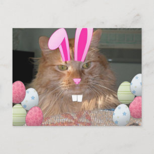 Snijkop Oranje tablet Feestdagenkaart