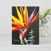 Snijkop Paradise Flowers 4 Kaart (Staand voorkant)