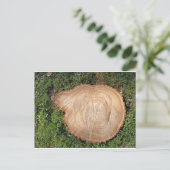 Snijkop verse snijboom briefkaart (Staand voorkant)