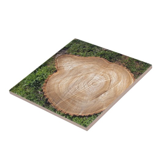 Snijkop verse snijboom tegeltje (Zijkant)