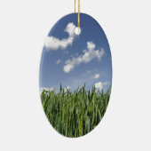 Snijmaïsveld Keramisch Ornament (Rechts)