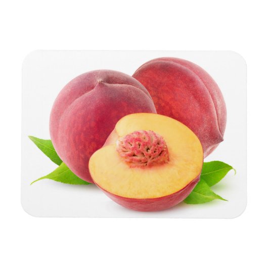 Snijperen Magneet (Horizontaal)