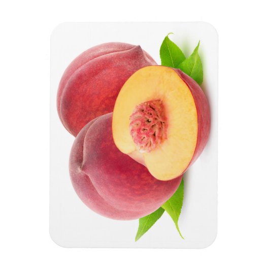 Snijperen Magneet (Verticaal)