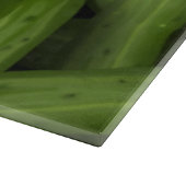 snijplank van augurkglas (Hoek)