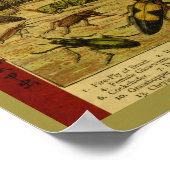  snijtanden Natuurgeschiedenis Afdrukken Poster (Hoek)