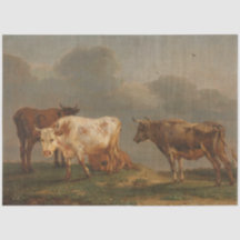  snijweefsel van cow