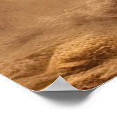 Snikkende coyote op een desolate landschap poster (Hoek)