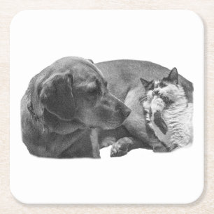 Snipbreuk met vrienden kartonnen onderzetters