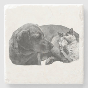 Snipbreuk met vrienden stenen onderzetter