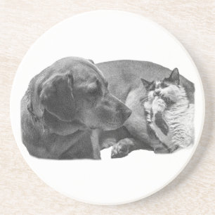 Snipbreuk met vrienden zandsteen onderzetter