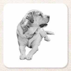 Snipbreuk, vaste vriend kartonnen onderzetters