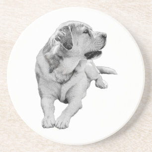 Snipbreuk, vaste vriend zandsteen onderzetter