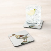 Snipe, c.1767-76 (met de hand gekleurde gravure) bier onderzetter (Rechterzijde)