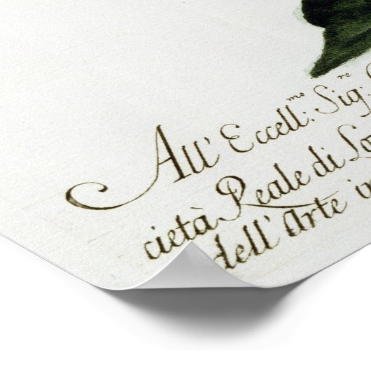 Snipe, c.1767-76 (met de hand gekleurde gravure) poster (Hoek)