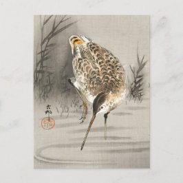 Snipe in het water, Ohara Koson, Japanse kunst, vo Briefkaart