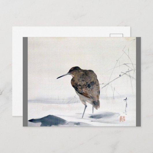 Snipe, Watanabe Seitei Briefkaart (Voorkant / Achterkant)