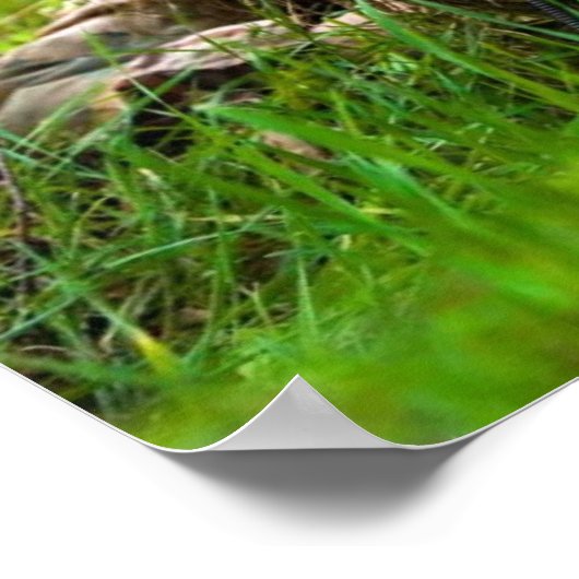 Snipertraining Poster (Hoek)