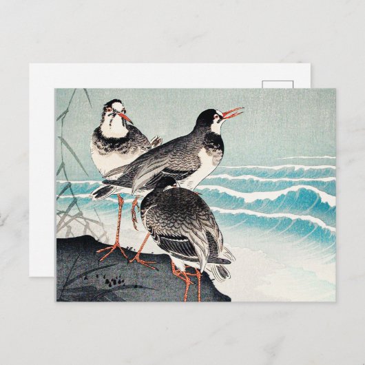 Snipes aan de kust, kunstwerk van Ohara Koson Briefkaart (Voorkant / Achterkant)