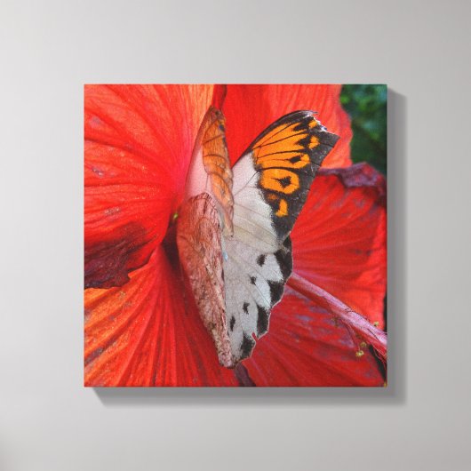 Snippen zoet canvas afdruk (Voorkant)